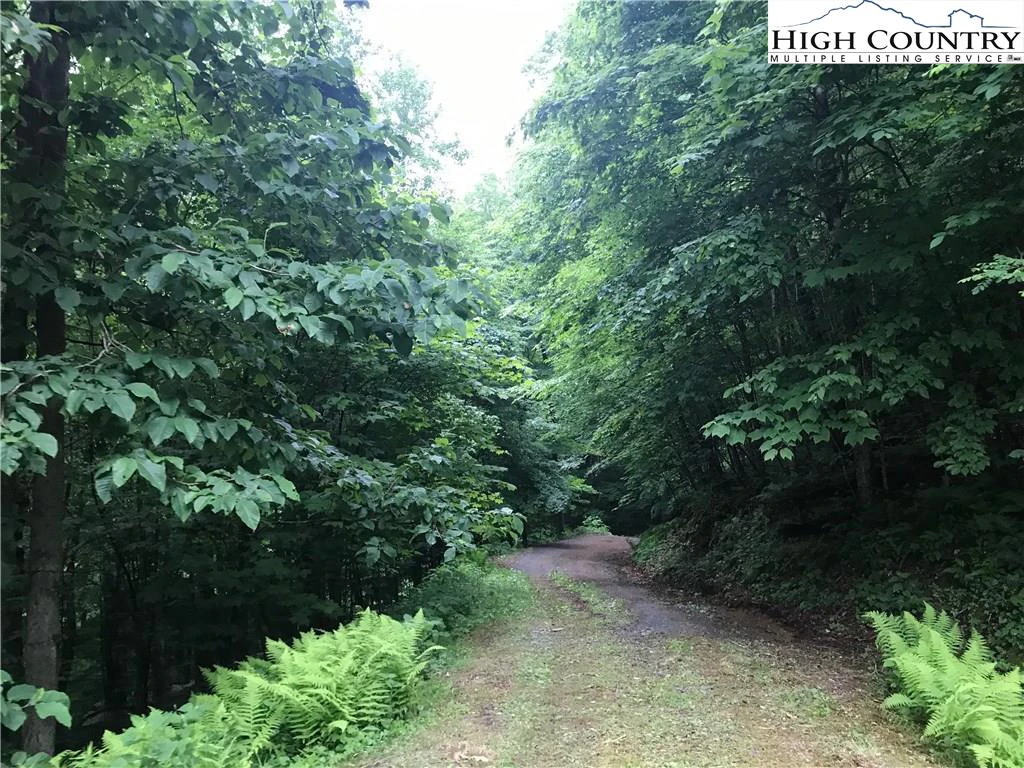 Image number 3 for the current listing