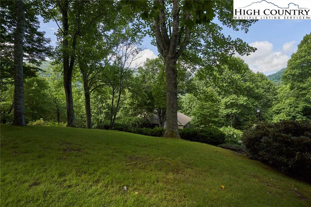 Image number 17 for the current listing