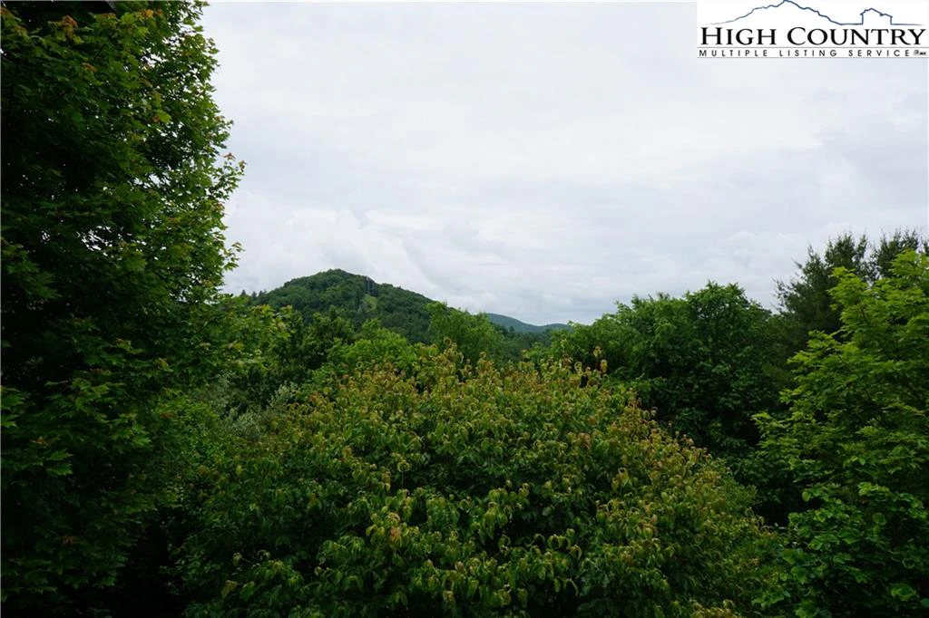 Image number 6 for the current listing