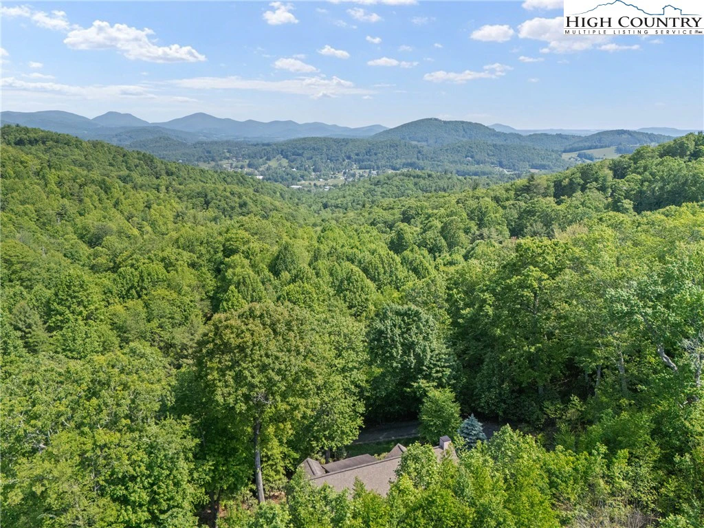 Image number 2 for the current listing