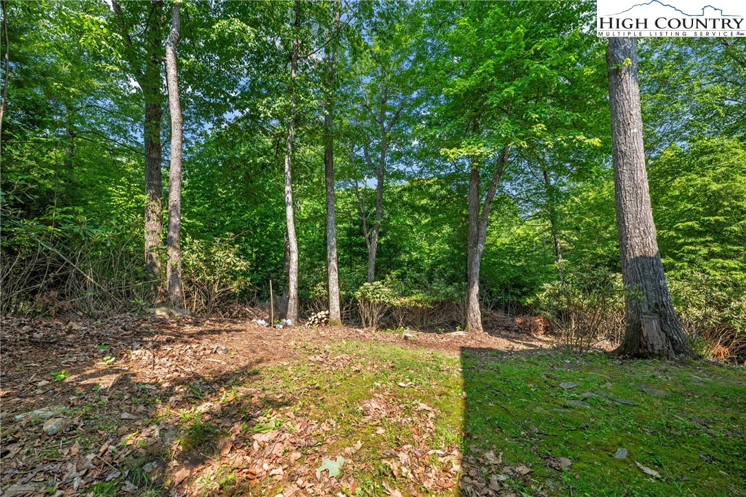 Image number 15 for the current listing