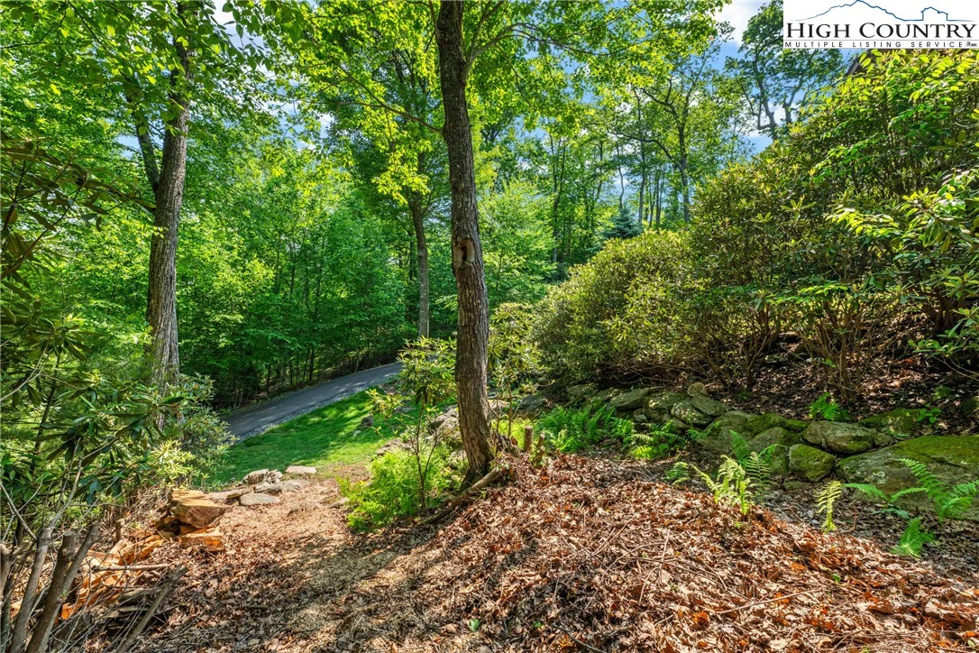 Image number 18 for the current listing