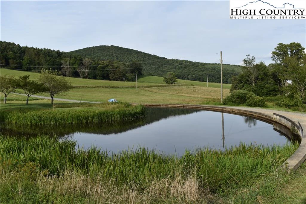 Image number 5 for the current listing