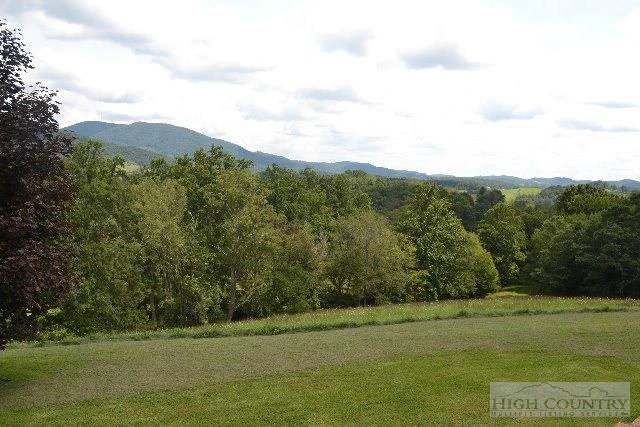 Image number 4 for the current listing