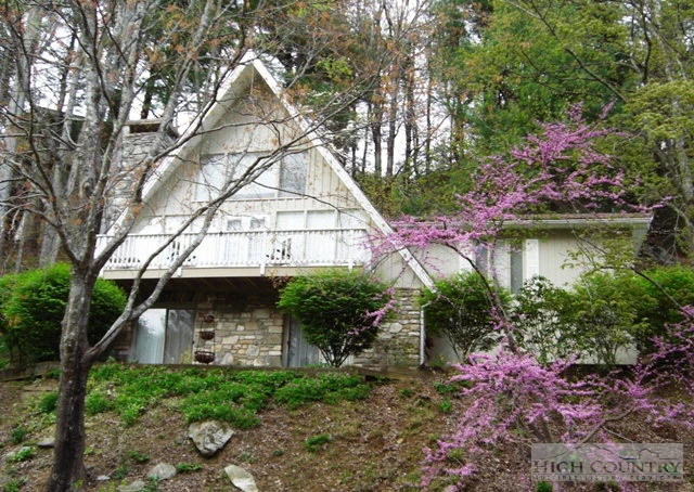 Image number 1 for the current listing