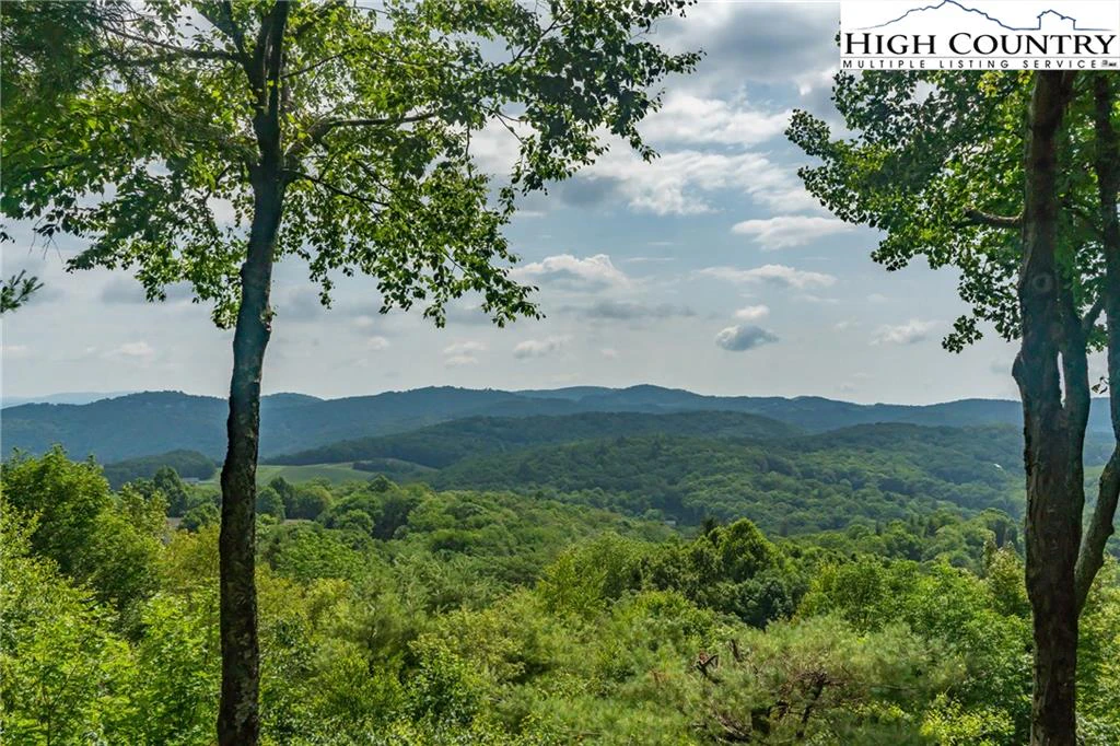 Image number 3 for the current listing