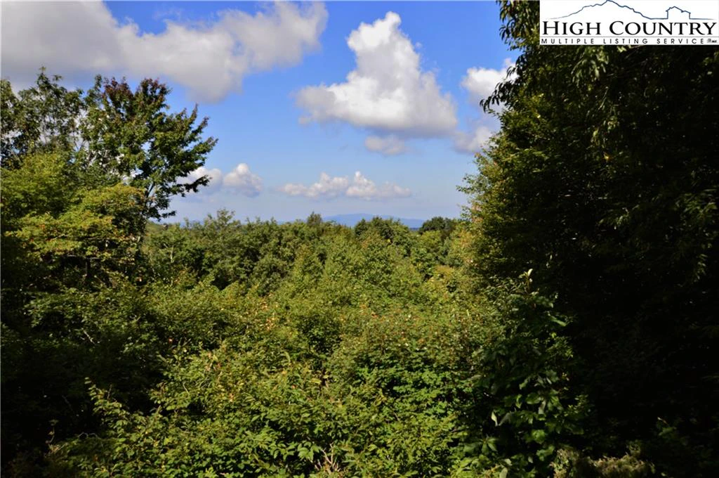 Image number 8 for the current listing