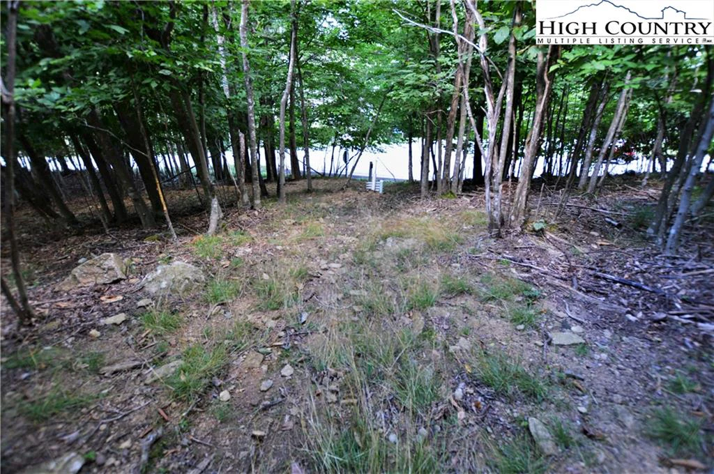 Image number 7 for the current listing