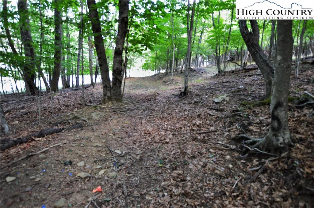 Image number 6 for the current listing