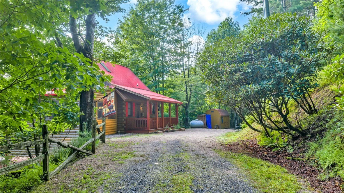 Image number 2 for the current listing
