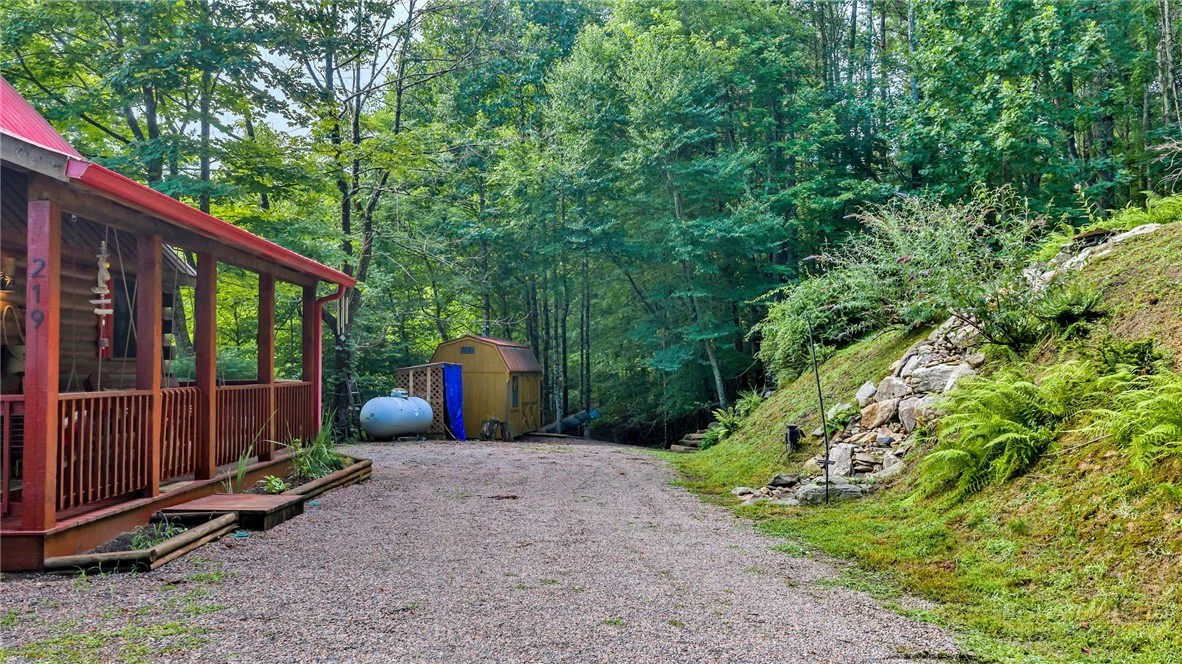 Image number 4 for the current listing