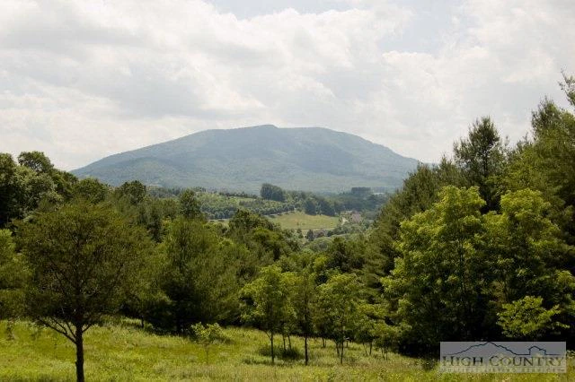 Image number 18 for the current listing
