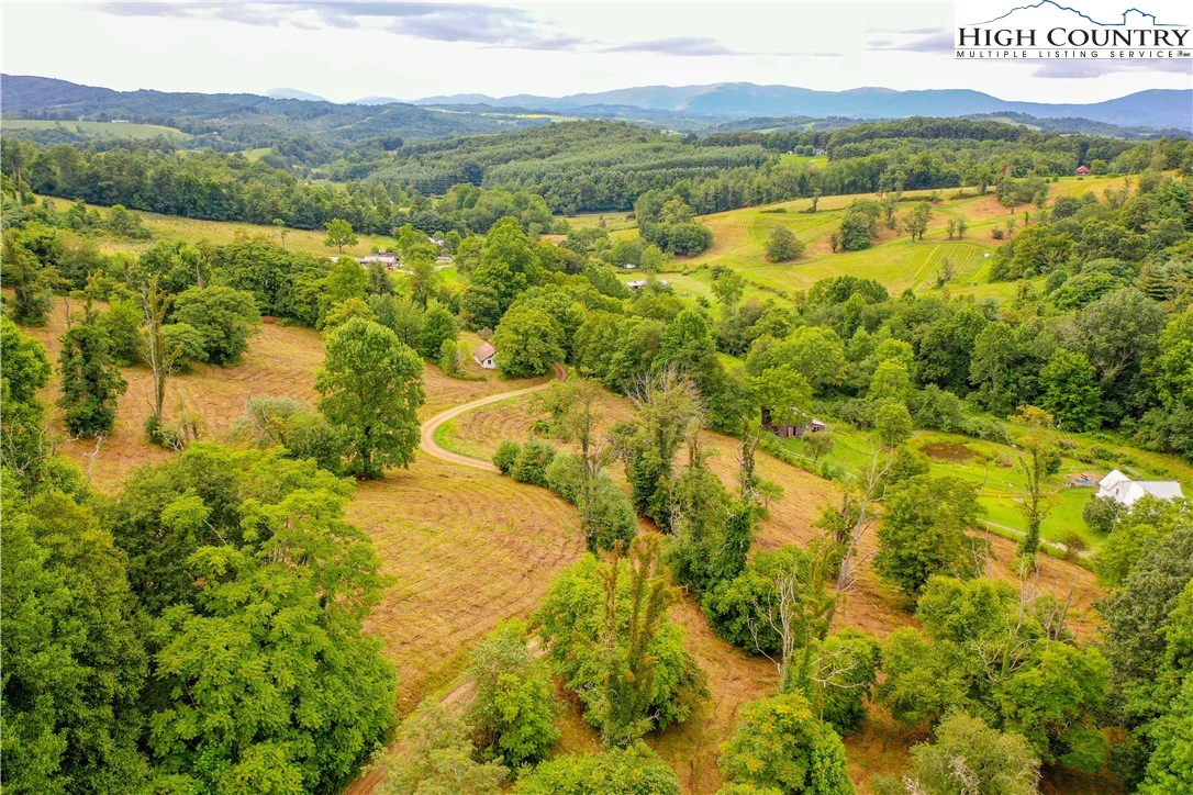 Image number 12 for the current listing