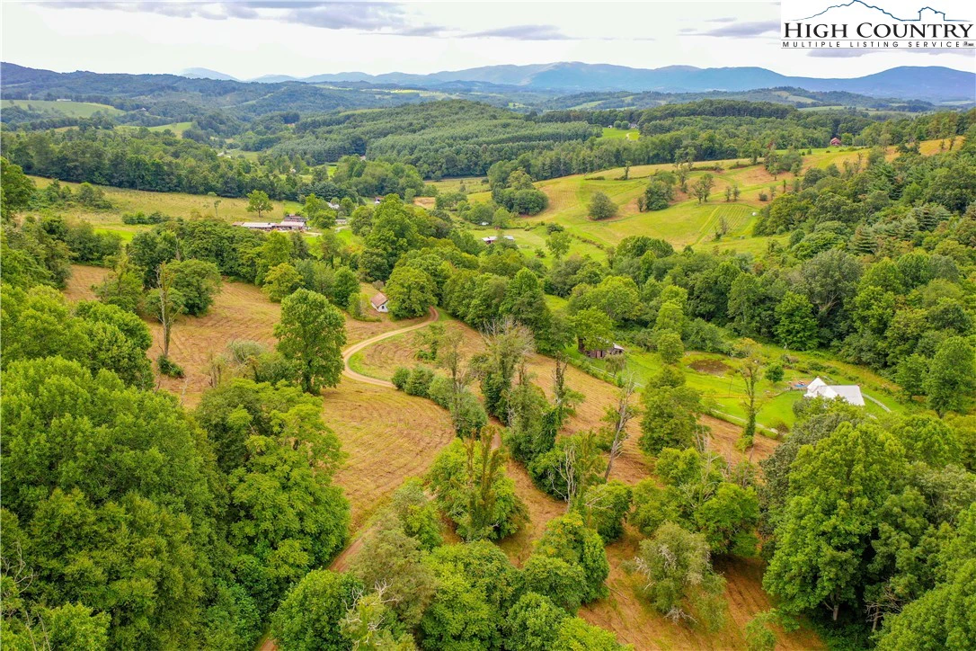 Image number 2 for the current listing