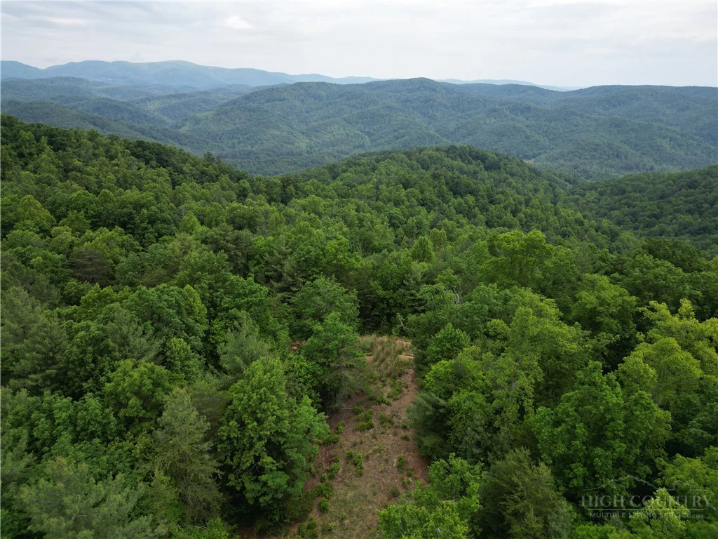 Image number 1 for the current listing