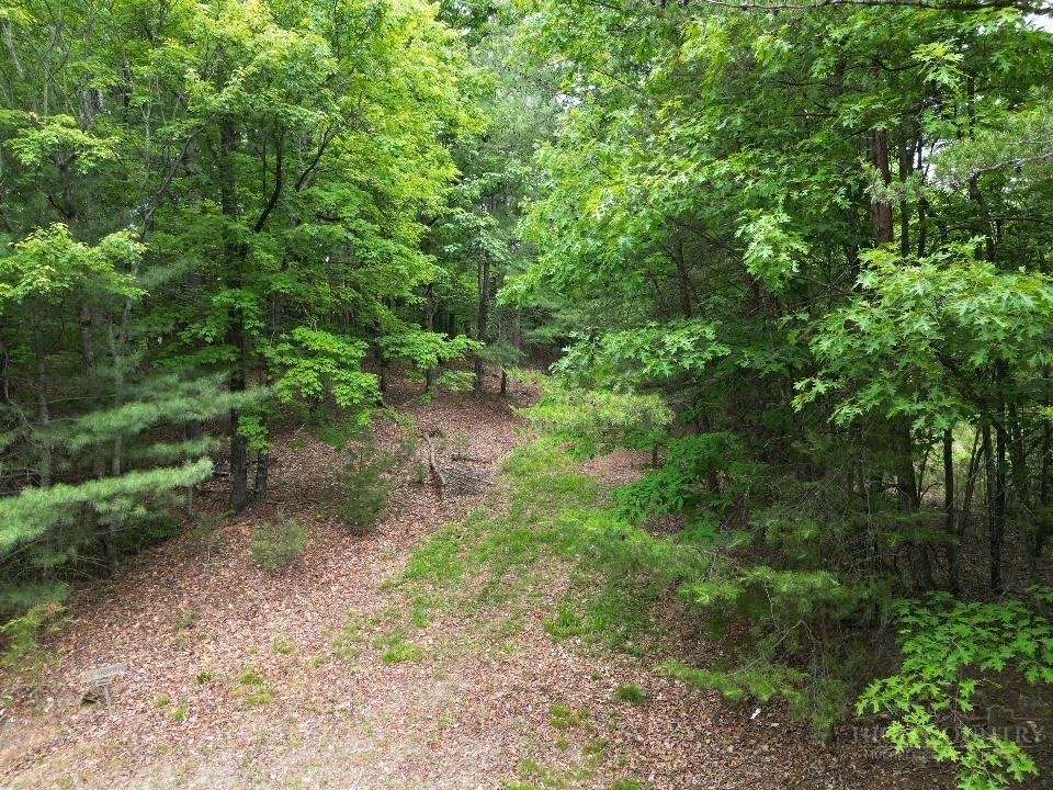 Image number 2 for the current listing