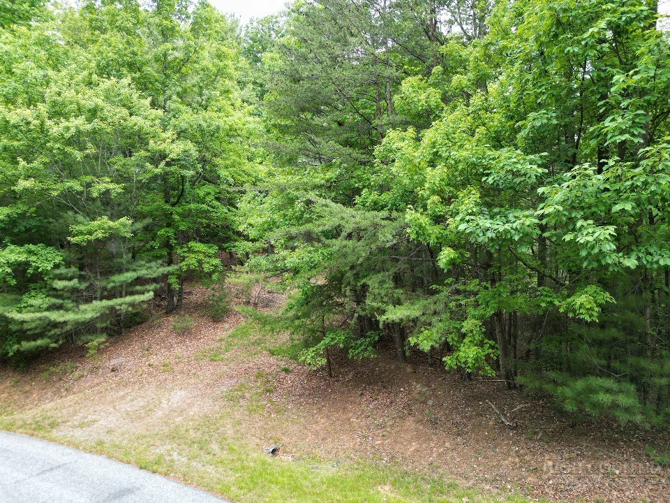 Image number 4 for the current listing