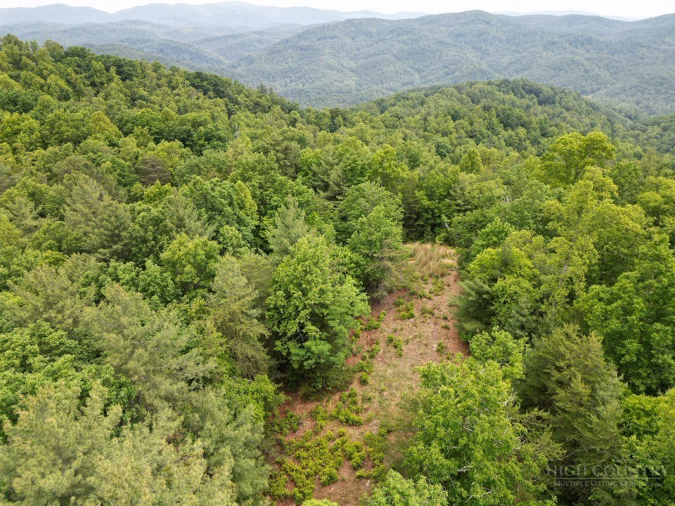 Image number 3 for the current listing