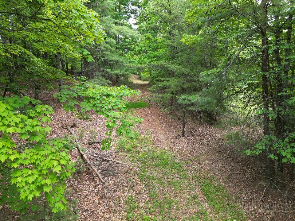 Image number 6 for the current listing