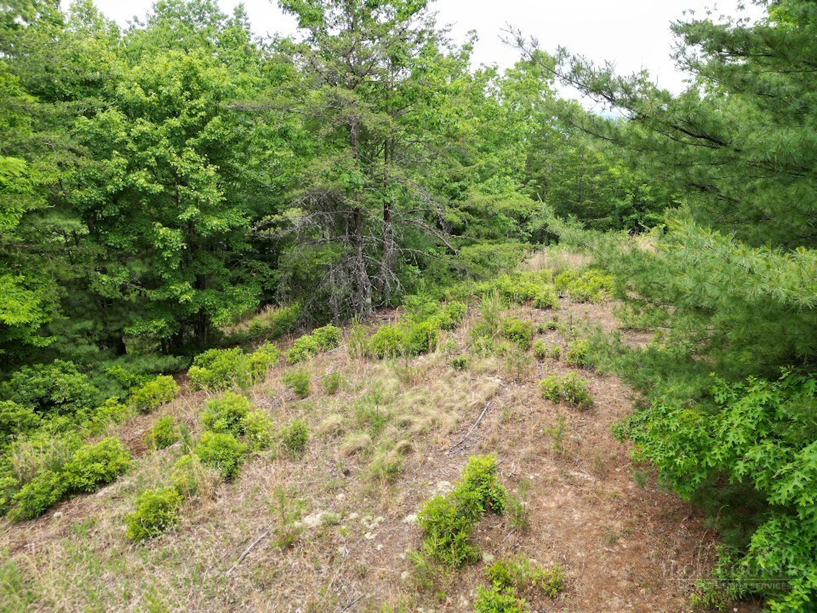 Image number 7 for the current listing