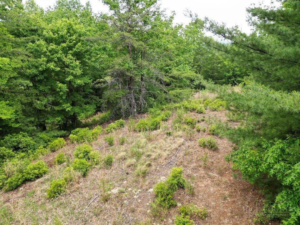 Image number 7 for the current listing