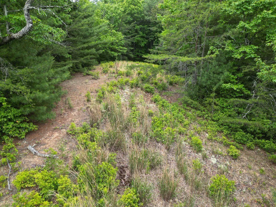 Image number 9 for the current listing