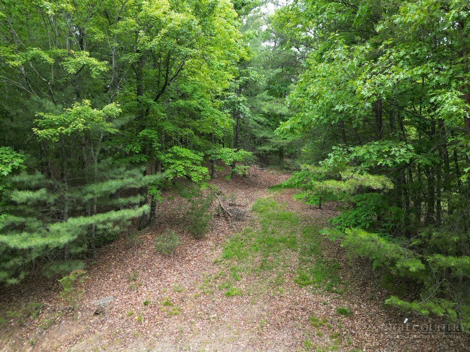 Image number 10 for the current listing