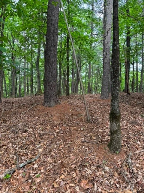 Image number 8 for the current listing