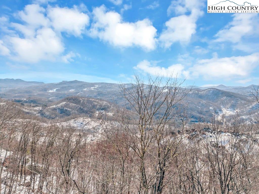 Image number 1 for the current listing