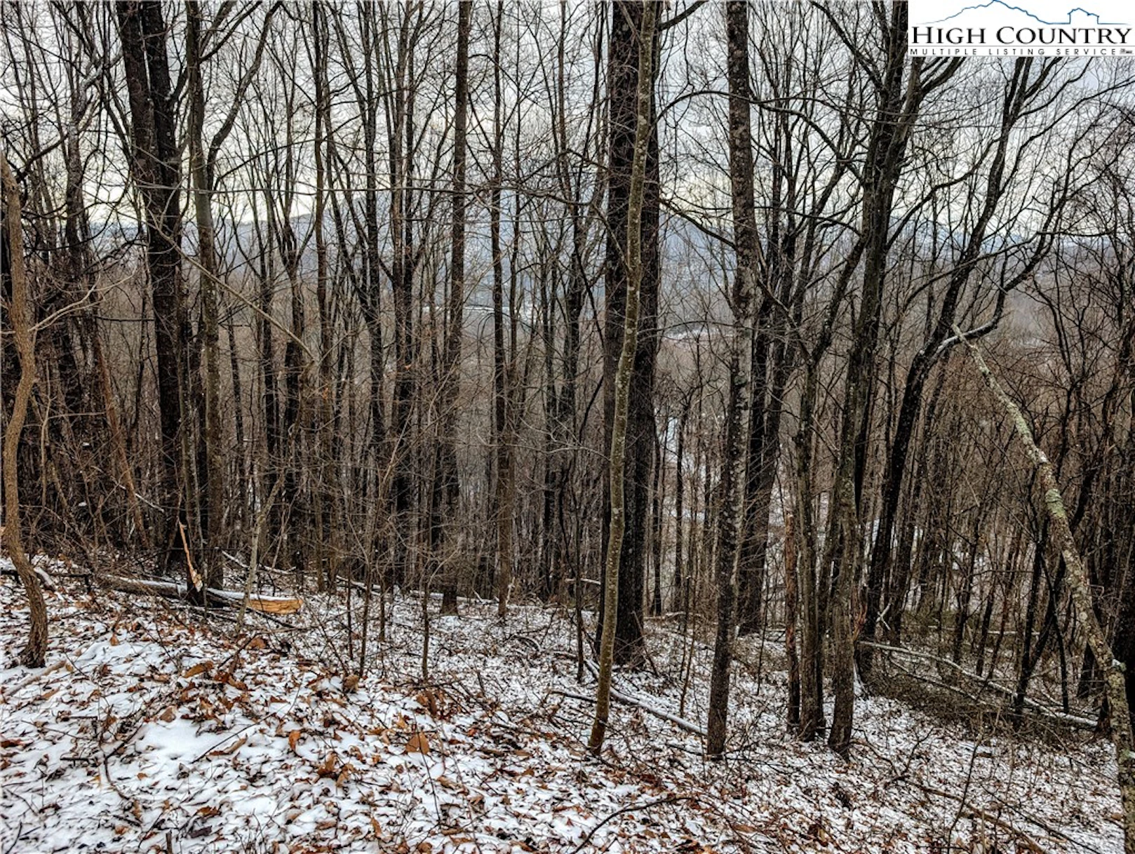 Image number 1 for the current listing