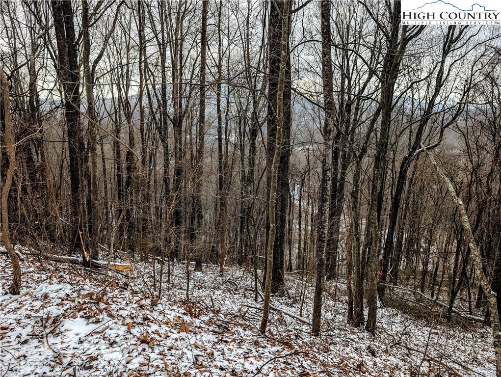 Image number 1 for the current listing