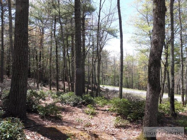 Image number 6 for the current listing