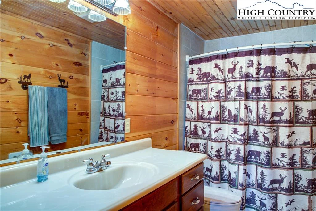 Image number 13 for the current listing