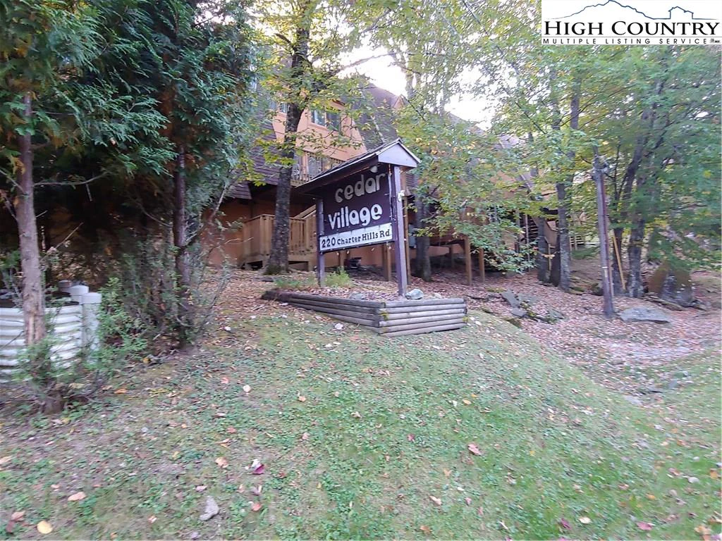 Image number 1 for the current listing