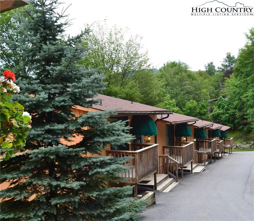 Image number 1 for the current listing
