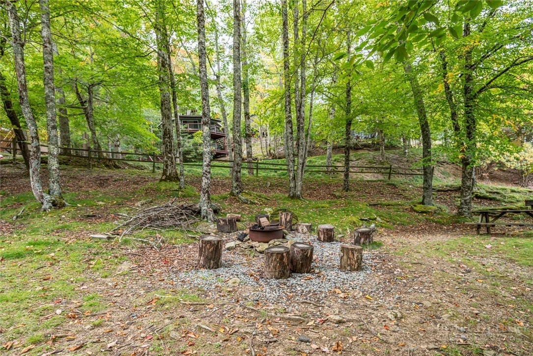 Image number 12 for the current listing