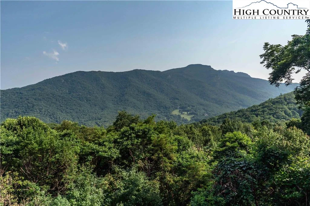 Image number 3 for the current listing