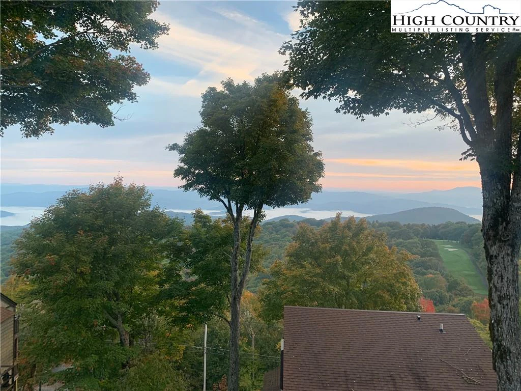 Image number 1 for the current listing