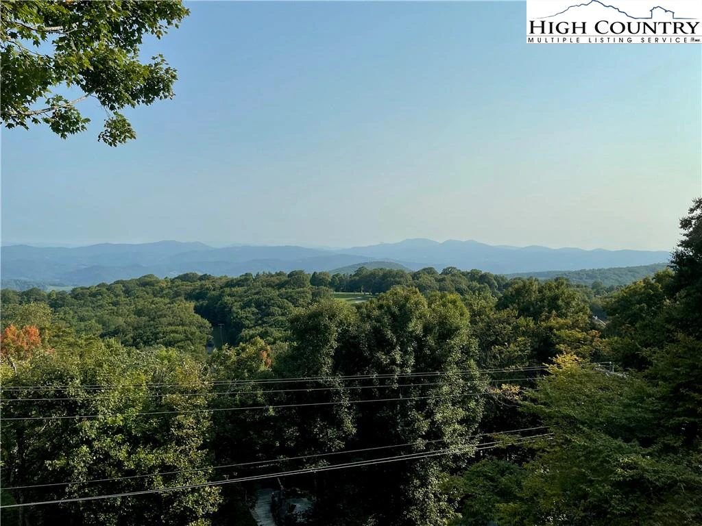 Image number 9 for the current listing