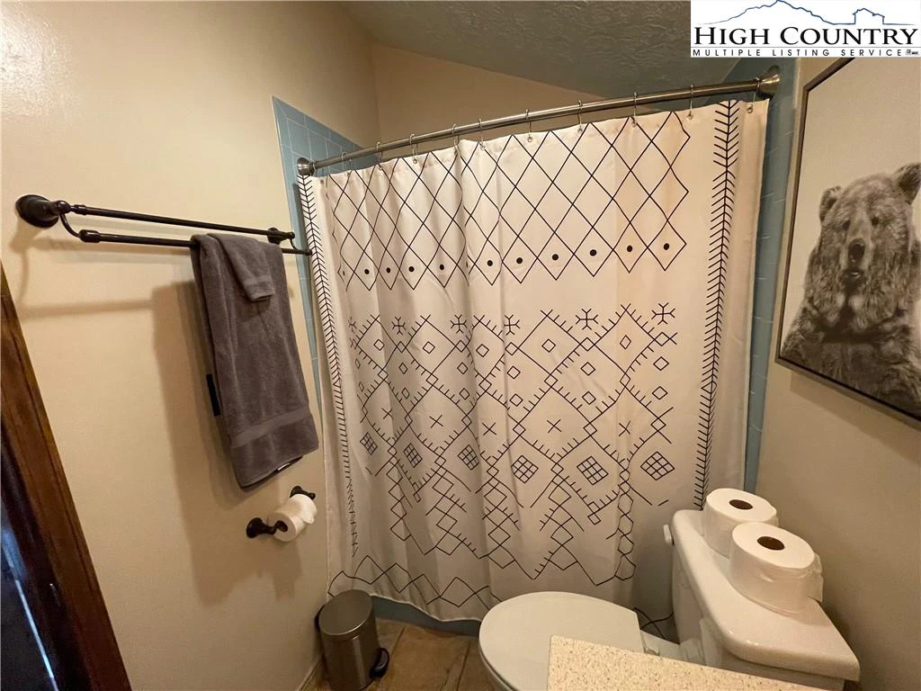 Image number 3 for the current listing