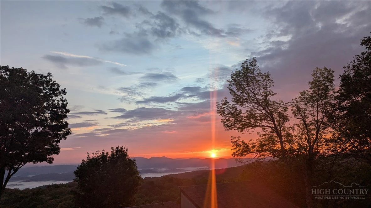 Image number 5 for the current listing