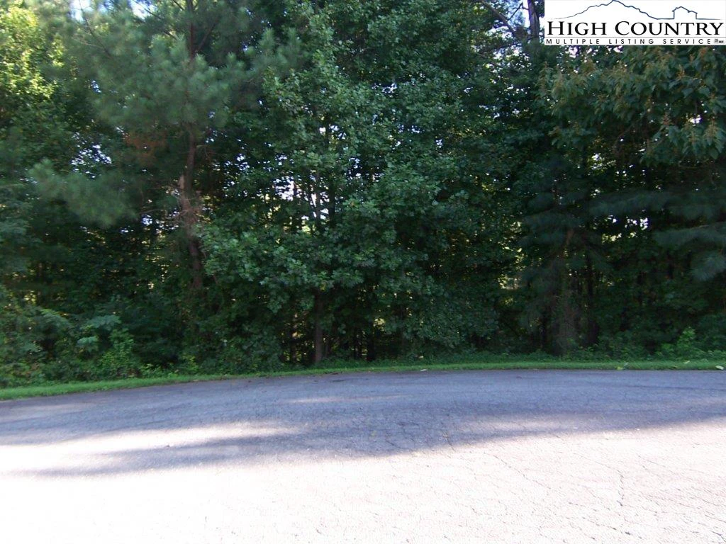 Image number 1 for the current listing