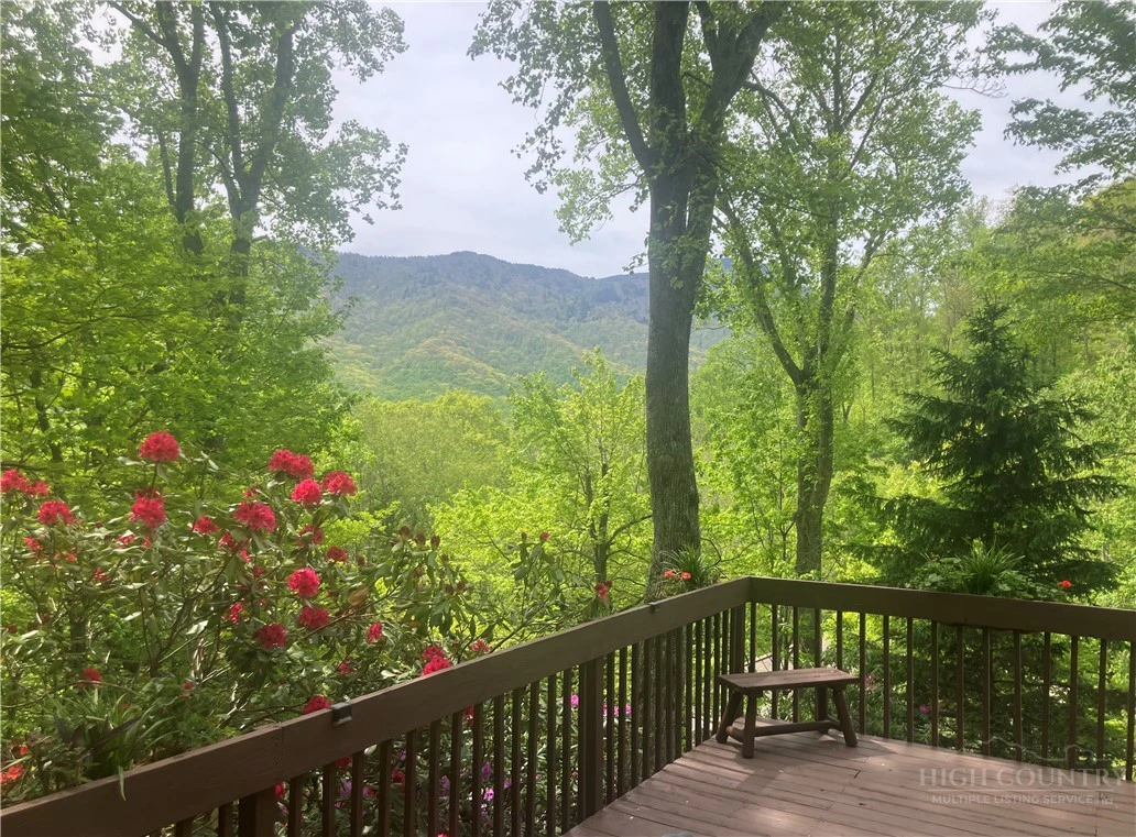 Image number 12 for the current listing