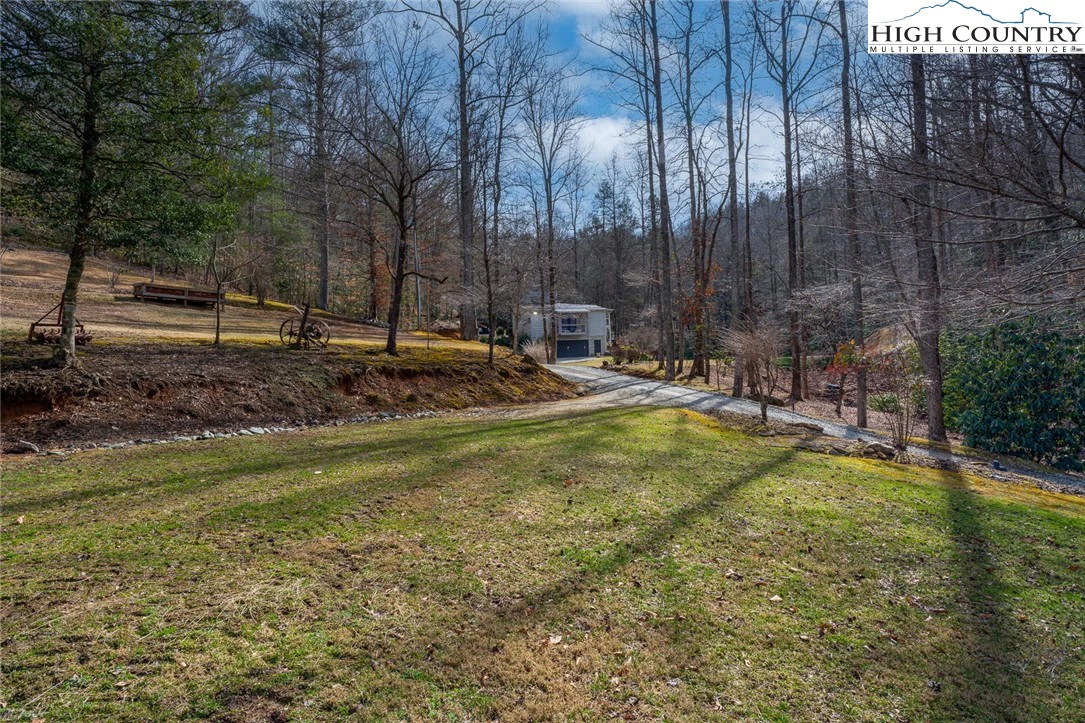 Image number 1 for the current listing