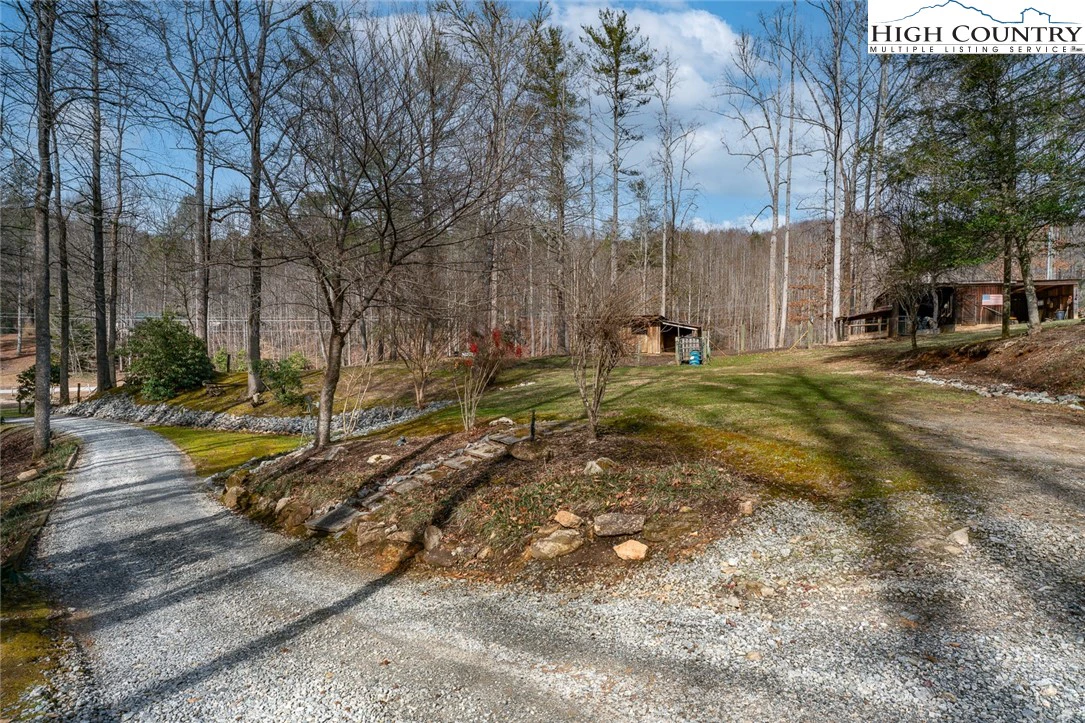Image number 11 for the current listing