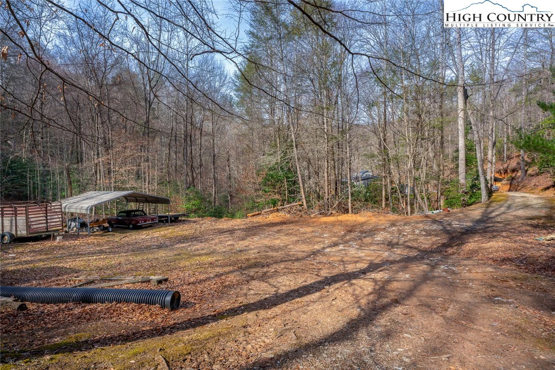Image number 4 for the current listing