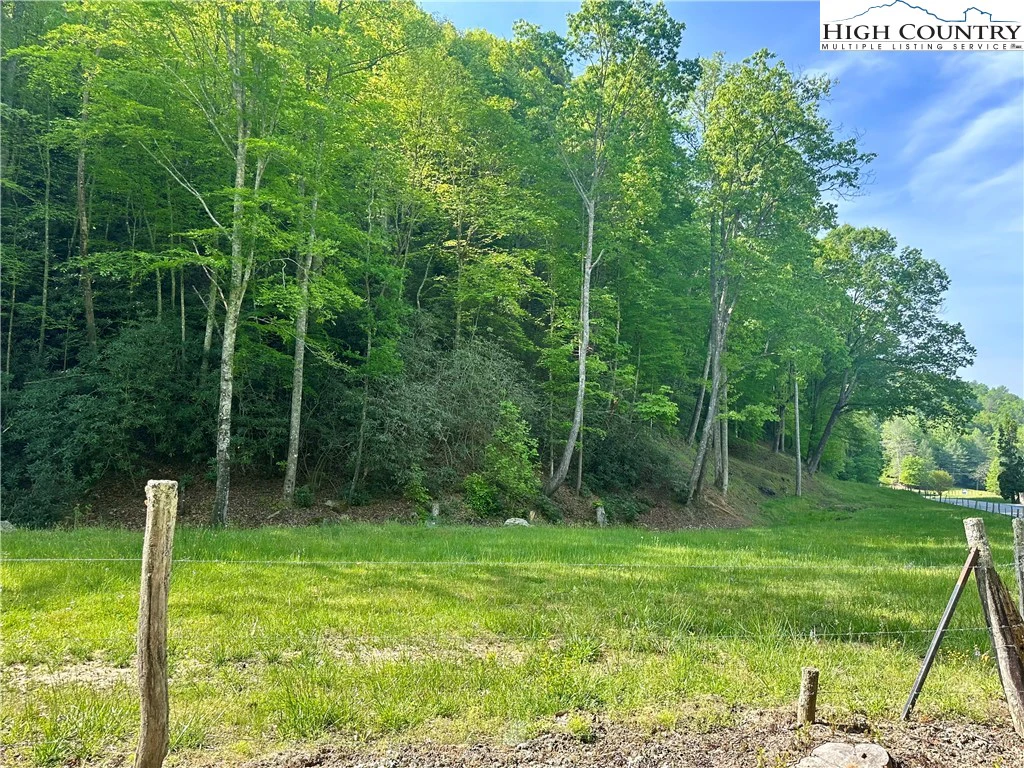 Image number 7 for the current listing