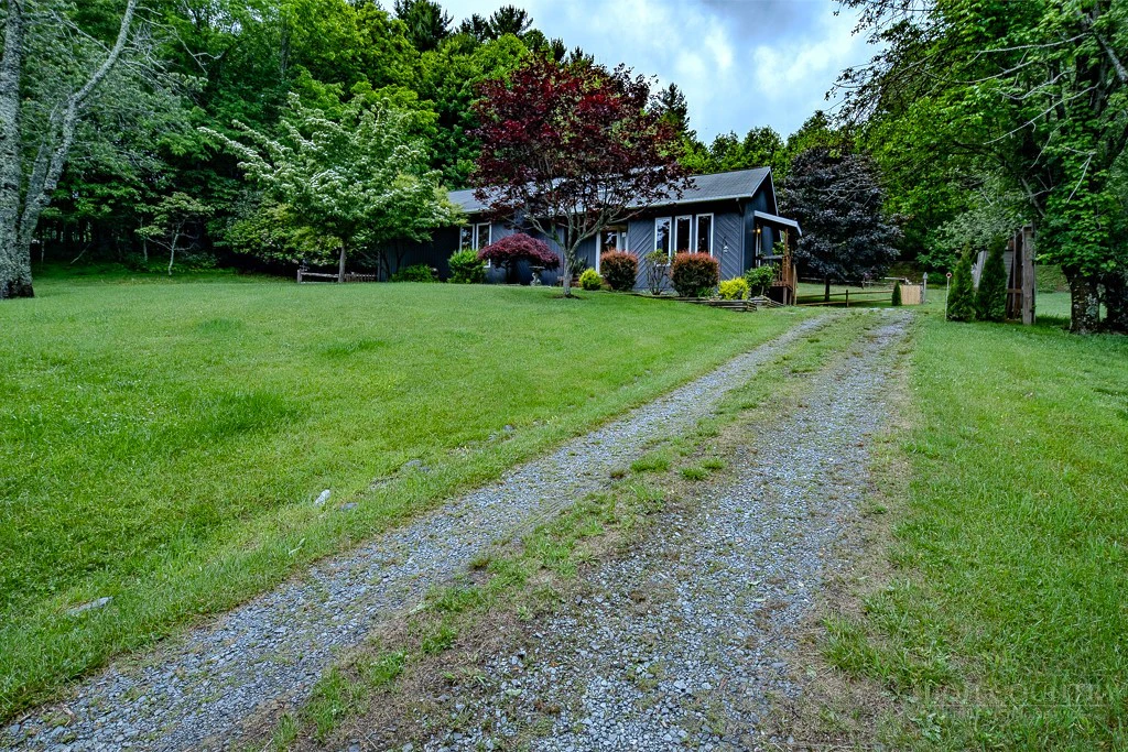 Image number 2 for the current listing