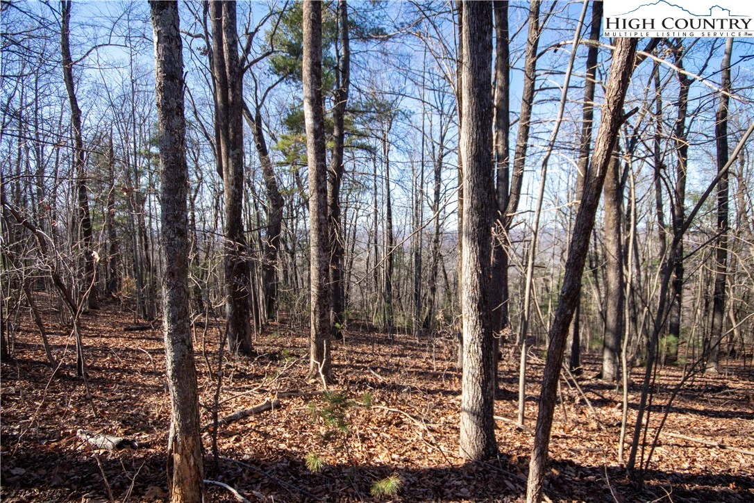 Image number 3 for the current listing