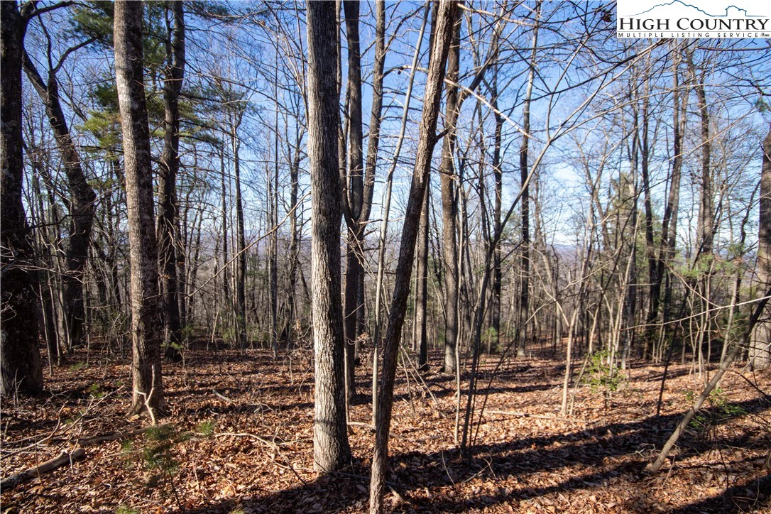 Image number 5 for the current listing